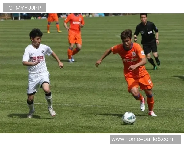 2011年鲁能对阵辽足精彩回顾与赛季分析